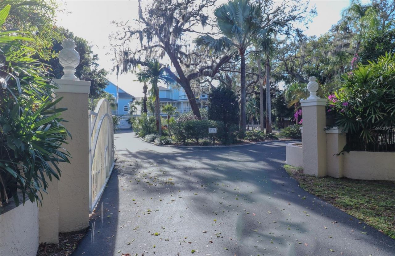 504 Hillsborough Street, Palm Harbor, FL 34683 Photo