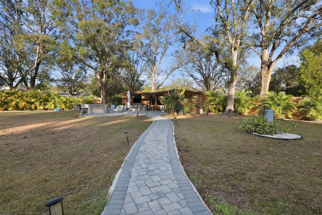 28233 Sonny Drive, Wesley Chapel, FL 33544 Photo