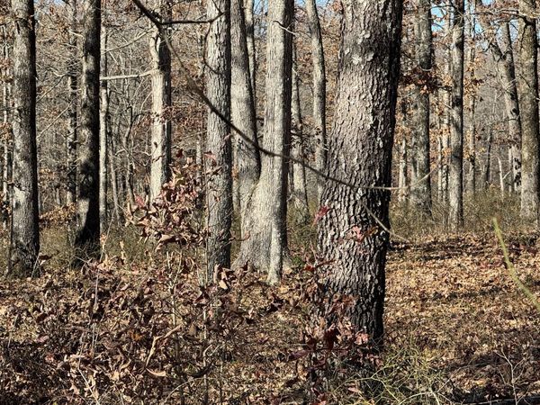 0 Ridgewood Drive, Mc Ewen, TN 37101