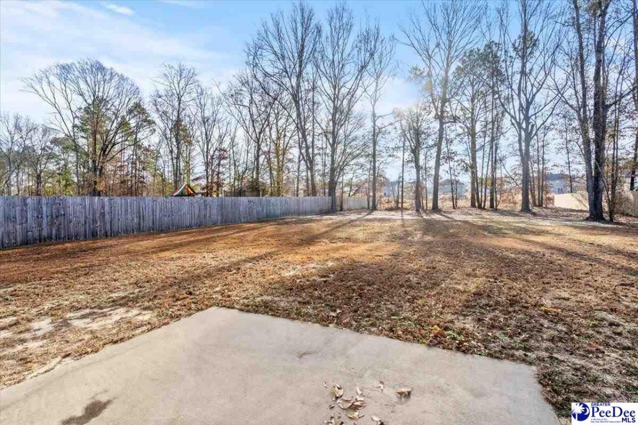 125 Shadowbrook Way Photo 48