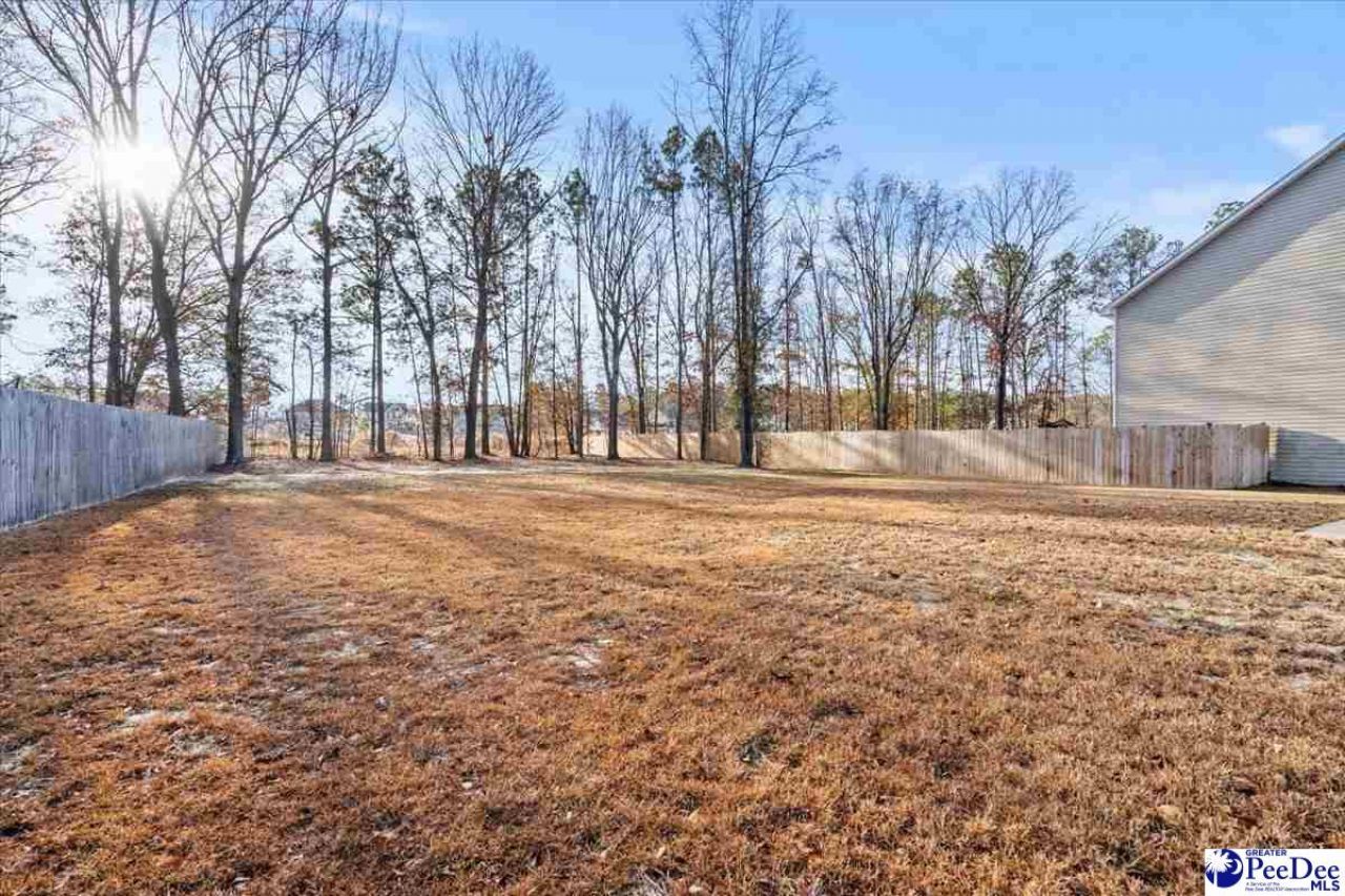 125 Shadowbrook Way Photo 49