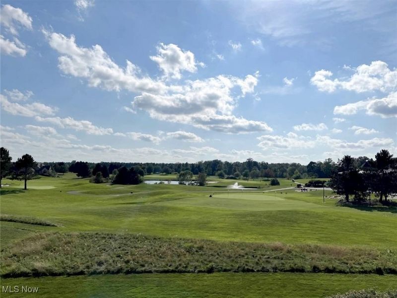 4174 Fox Meadow Drive, Medina, OH 44256 Photo 48