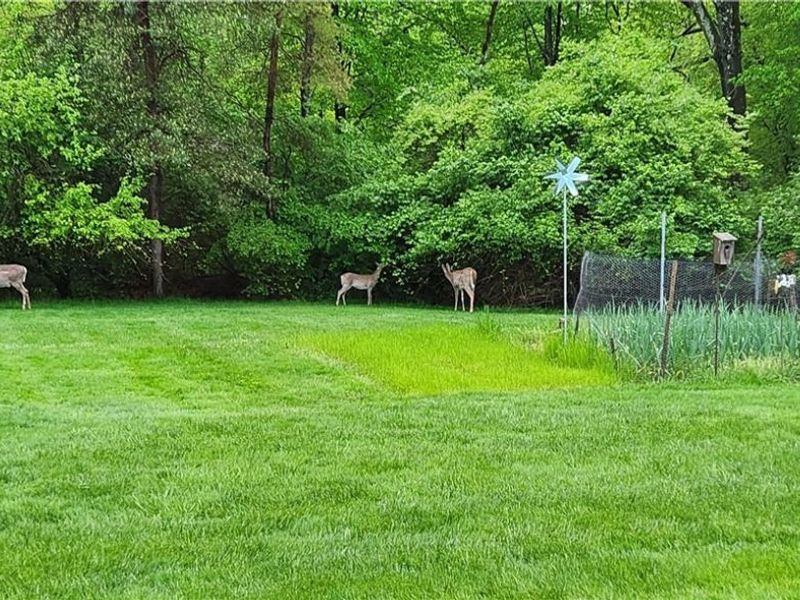 365 Scott Street, Hubbard, OH 44425 Photo 50