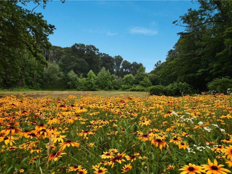 781 Chagrin River Road, Gates Mills, OH 44040 Photo 1