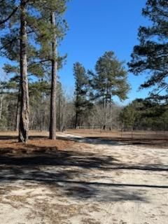 481 Butler Drive Photo 21