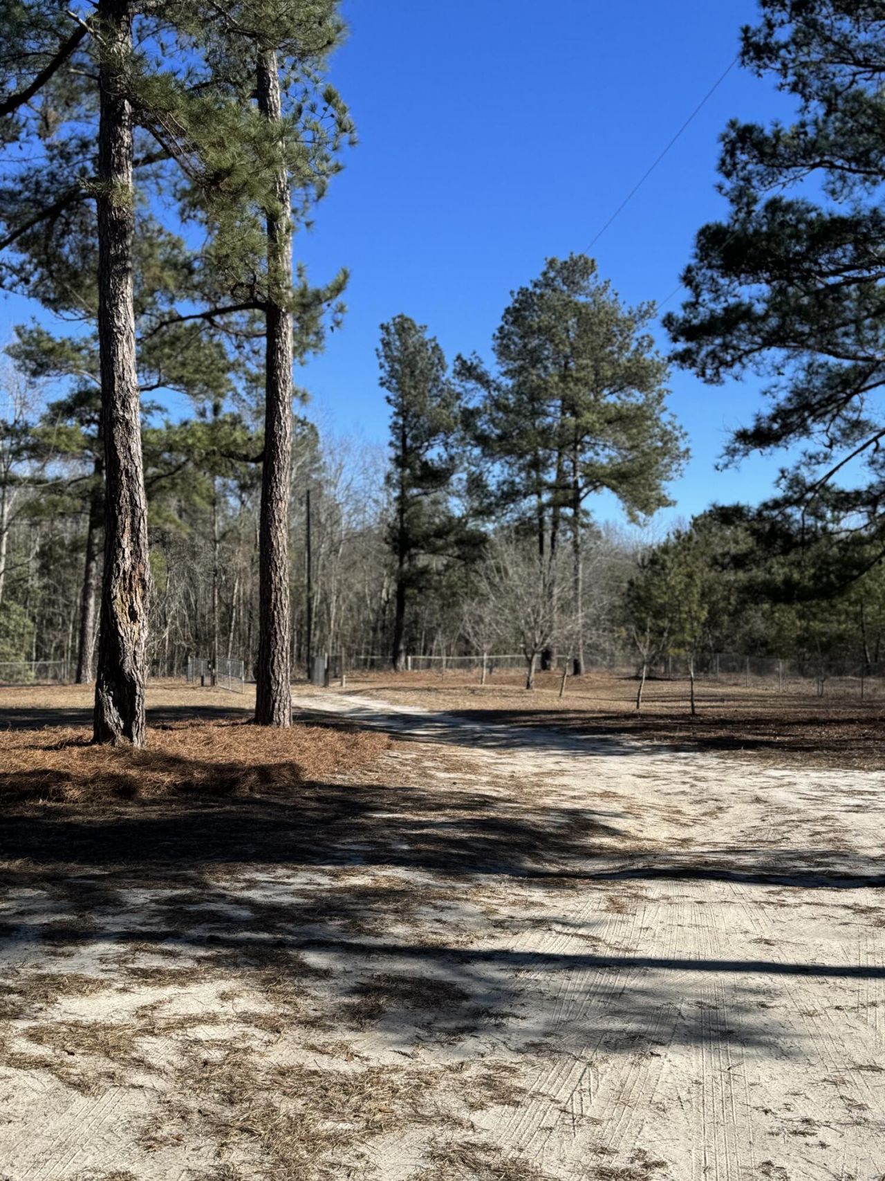 481 Butler Drive Photo 23