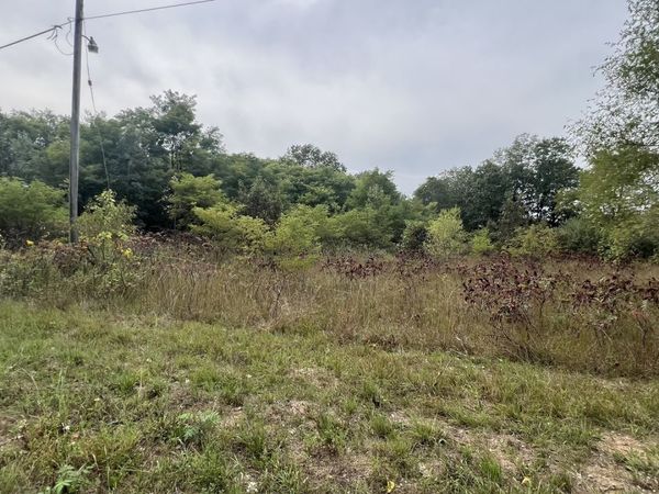 0007 Green Acres Road, Pembroke Twp, IL 60958