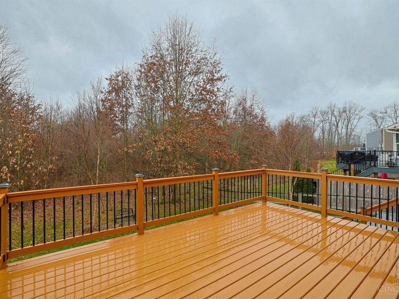 1123 Carrington Place, Hamilton Twp, OH 45039 Photo 38