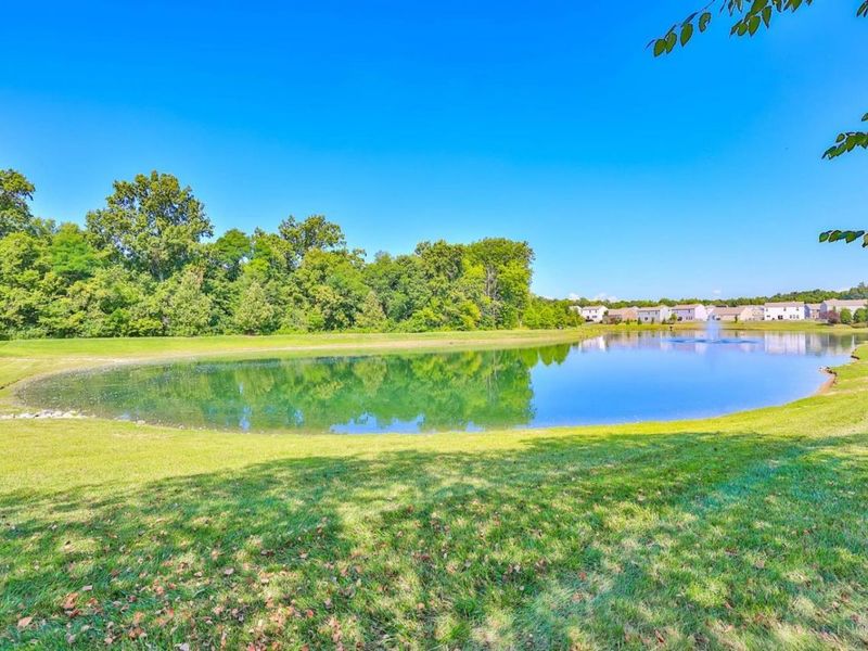 1123 Carrington Place, Hamilton Twp, OH 45039 Photo 49