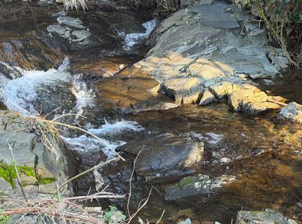 325 Union St, Auburn, CA 95603 Photo