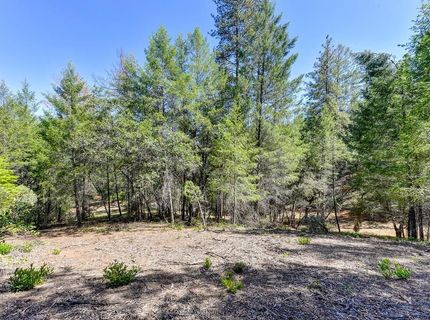 2000 Ponderosa Way, Weimar, CA 95713 Photo