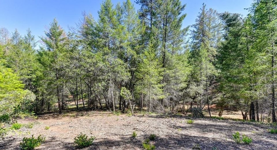 2000 Ponderosa Way, Weimar, CA 95713 Photo
