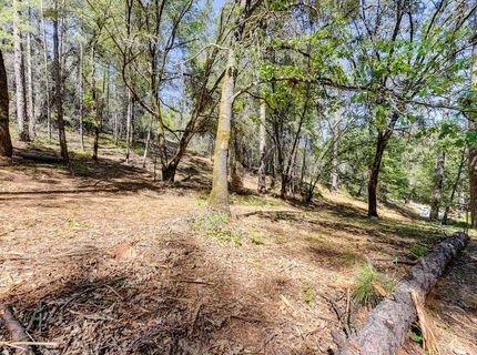 2000 Ponderosa Way, Weimar, CA 95713 Photo
