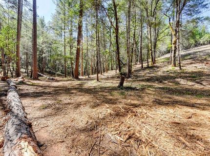 2000 Ponderosa Way, Weimar, CA 95713 Photo