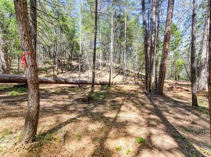 2000 Ponderosa Way, Weimar, CA 95713 Photo
