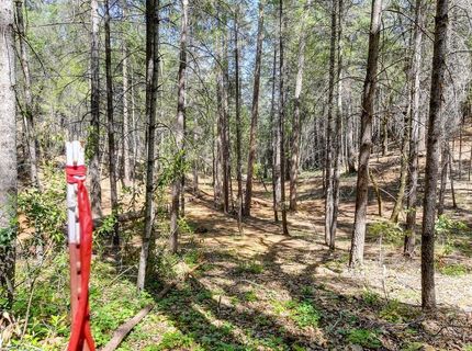 2000 Ponderosa Way, Weimar, CA 95713 Photo