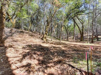 2000 Ponderosa Way, Weimar, CA 95713 Photo
