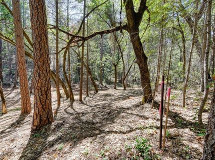 2000 Ponderosa Way, Weimar, CA 95713 Photo