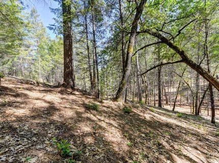 2000 Ponderosa Way, Weimar, CA 95713 Photo