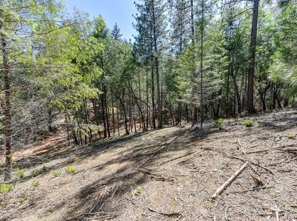 2000 Ponderosa Way, Weimar, CA 95713 Photo
