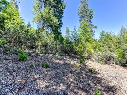2000 Ponderosa Way, Weimar, CA 95713 Photo