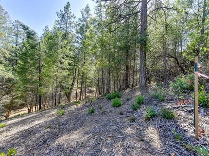 2000 Ponderosa Way, Weimar, CA 95713 Photo