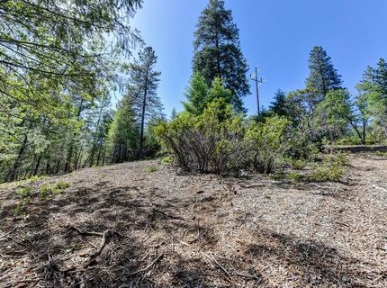 2000 Ponderosa Way, Weimar, CA 95713 Photo