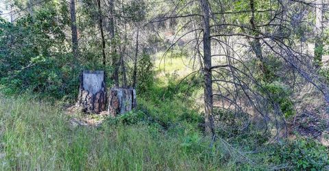 2000 Ponderosa Way, Weimar, CA 95713 Photo
