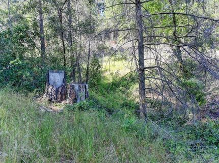 2000 Ponderosa Way, Weimar, CA 95713 Photo