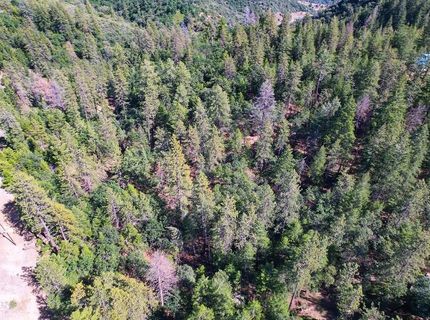 2000 Ponderosa Way, Weimar, CA 95713 Photo