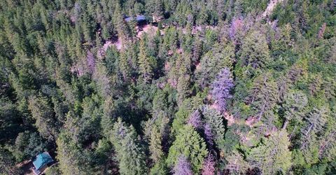 2000 Ponderosa Way, Weimar, CA 95713 Photo