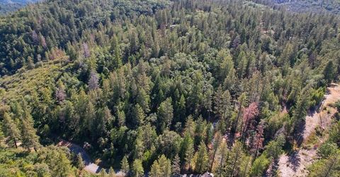 2000 Ponderosa Way, Weimar, CA 95713 Photo