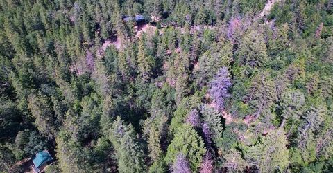 2000 Ponderosa Way, Weimar, CA 95713 Photo