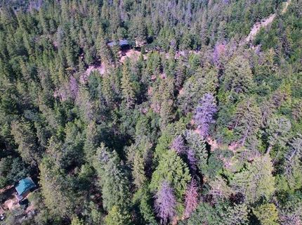 2000 Ponderosa Way, Weimar, CA 95713 Photo