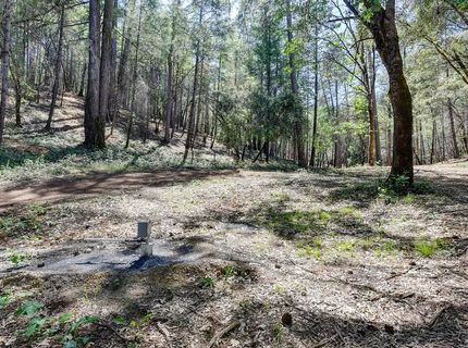 2000 Ponderosa Way, Weimar, CA 95713 Photo