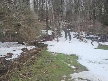 Bates Road, Ellington, NY 14732