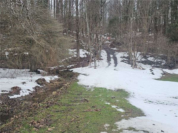 Bates Road, Ellington, NY 14732