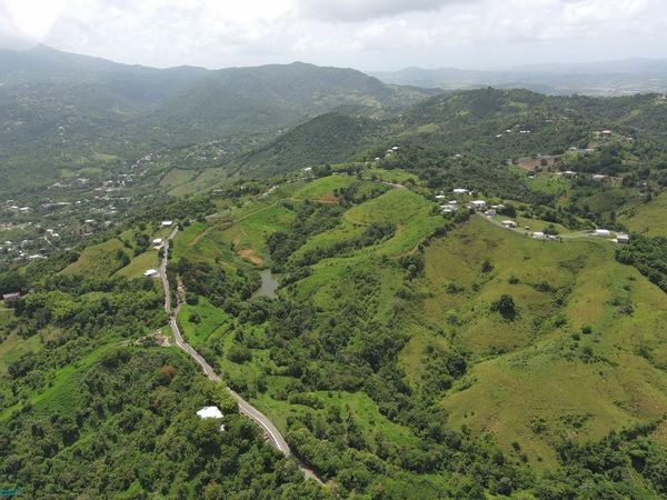 KM 11 FINCA MORALES BO. BARRAZAS, Carolina, PR 00987