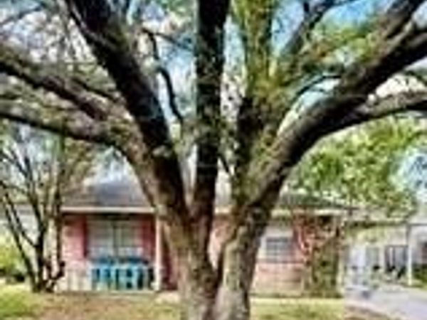 100 101 128 CLINTON Court, Hammond, LA 70401