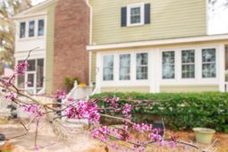 1808 Laurel Trail photo 4