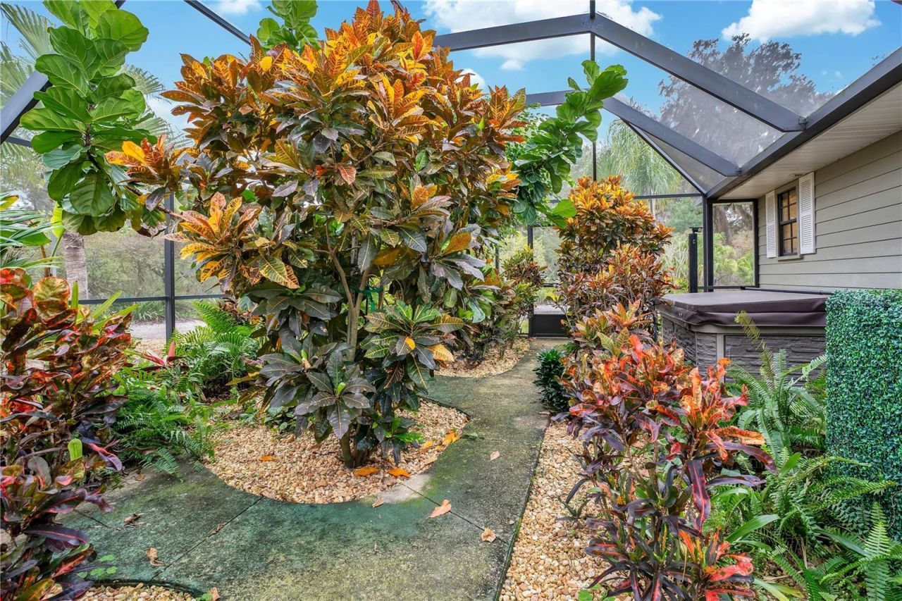 2067 Lake Juanita Road, Seville, FL 32190 Photo