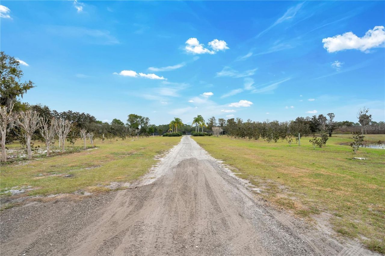 2067 Lake Juanita Road, Seville, FL 32190 Photo
