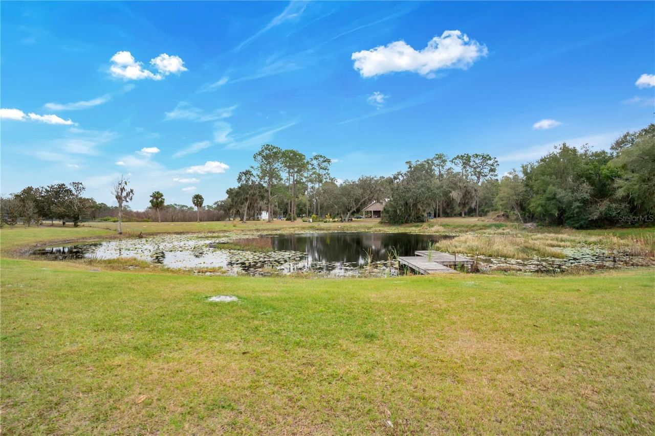 2067 Lake Juanita Road, Seville, FL 32190 Photo