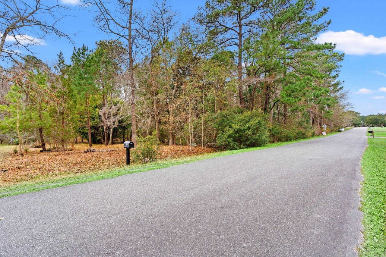 Lot 3 Third Ave. Photo 6
