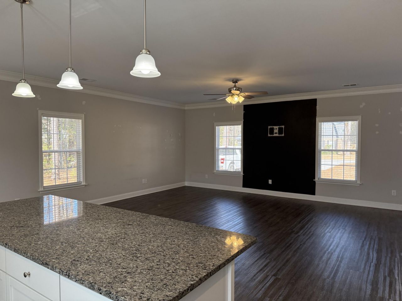 110 Mary Ellie Drive Photo 11