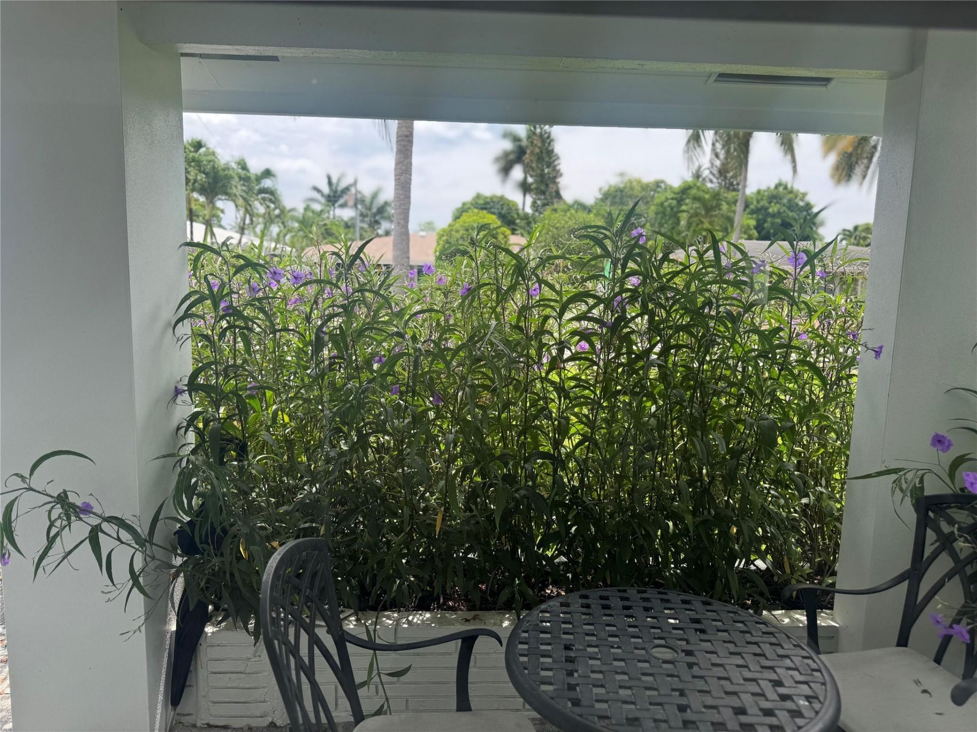 4801 NE 2nd, Fort Lauderdale, FL 33334 Photo