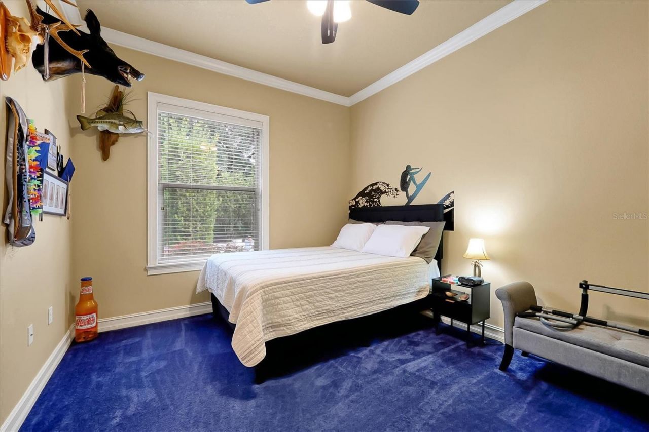 12012 Rambling Oak Boulevard, Orlando, FL 32832 Photo