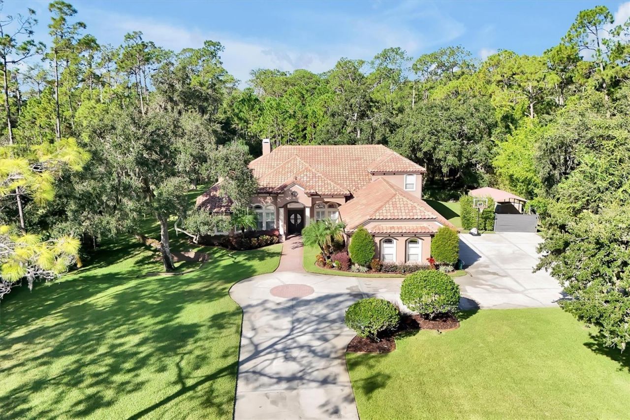 12012 Rambling Oak Boulevard, Orlando, FL 32832 Photo