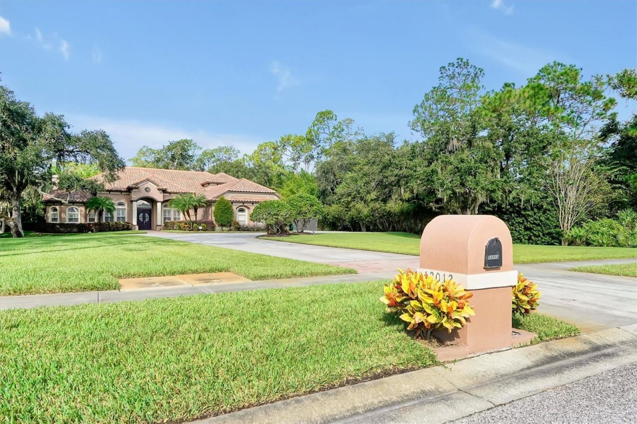12012 Rambling Oak Boulevard, Orlando, FL 32832 Photo