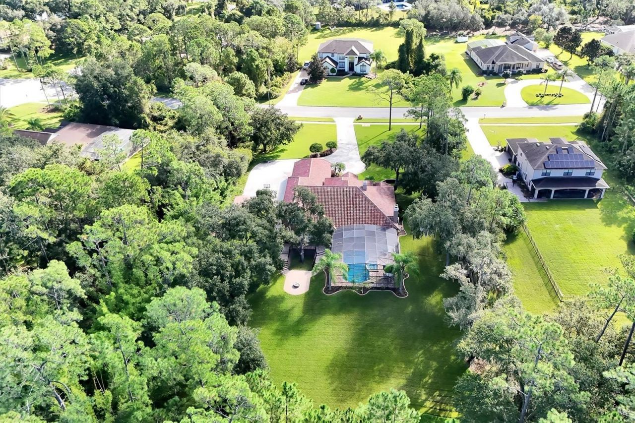 12012 Rambling Oak Boulevard, Orlando, FL 32832 Photo